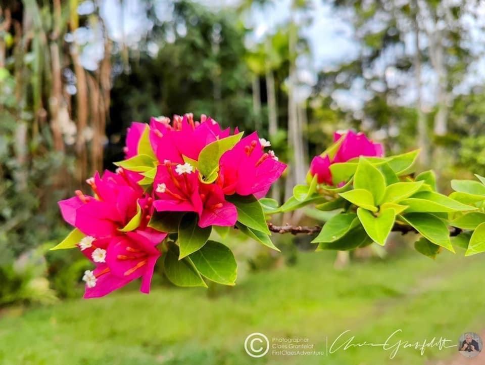 Phurin Thara Resort Ko Lanta Exterior foto